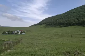 Satılır Torpaq şamaxı Rayonunda