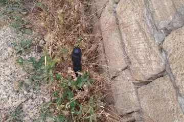 Satılır Torpaq Sarayda