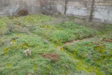 Satılır Torpaq Binədə