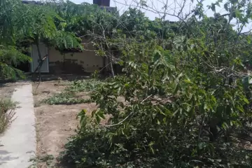 Satılır Bağ Evi Kürdəxanıda