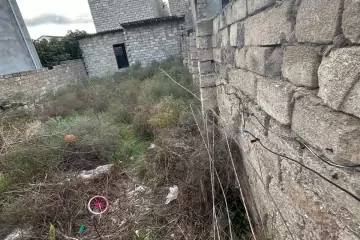 Satılır Torpaq Qalada