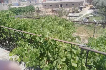 Satılır Bağ Evi Kürdəxanıda
