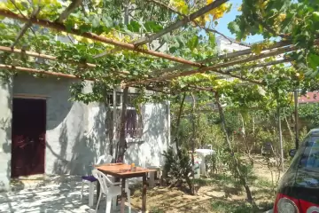 Satılır Həyət Evi Masazırda