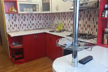 Satılır Köhnə Tikili Pasyolkada