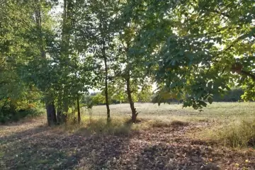 Satılır Torpaq Mirzəbəyli Kəndində