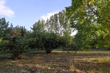 Satılır Torpaq Mirzəbəyli Kəndində