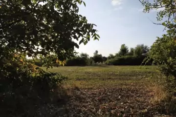 Satılır Torpaq Mirzəbəyli Kəndində