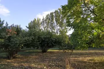 Satılır Torpaq Mirzəbəyli Kəndində