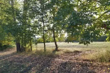 Satılır Torpaq Mirzəbəyli Kəndində