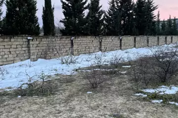 Satılır Torpaq Nardaranda