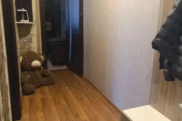 Satılır Köhnə Tikili Pasyolkada