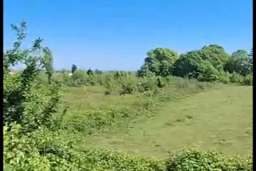 Satılır Torpaq Lənkəranda