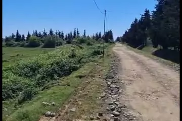 Satılır Torpaq Lənkəranda