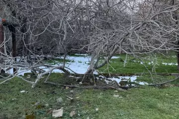 Satılır Torpaq Nardaranda