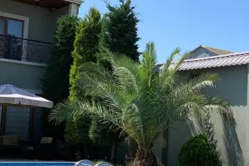 Günlük Kirayə Bağ Evi Mərdəkanda