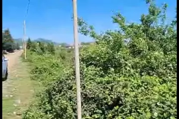 Satılır Torpaq Lənkəranda