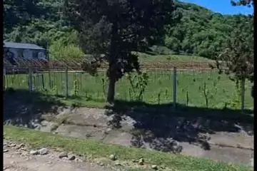 Satılır Torpaq Lənkəranda