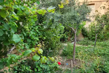 Satılır Həyət Evi Lökbatanda