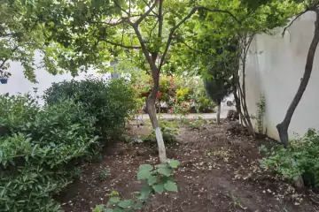 Satılır Həyət Evi Bakı Kinoteatrıda