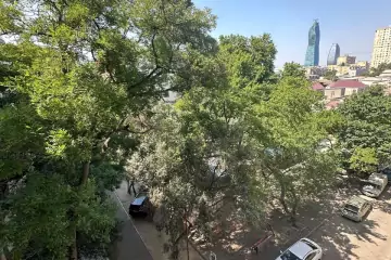 Satılır Köhnə Tikili Nərimanov Parkı