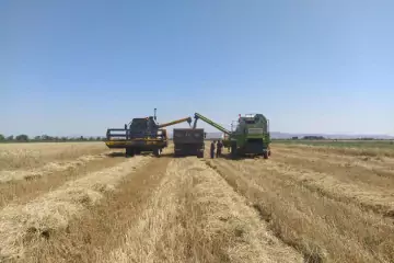 Satılır Torpaq Hacıqabul Rayonunda
