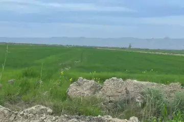 Satılır Torpaq Hacıqabul Rayonunda