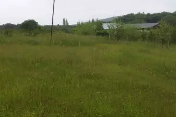 Satılır Torpaq İsmayıllı Rayonunda