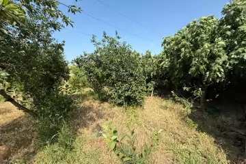 Satılır Həyət Evi Goradildə