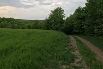 Satılır Torpaq Quba Rayonunda
