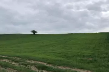 Satılır Torpaq Quba Rayonunda