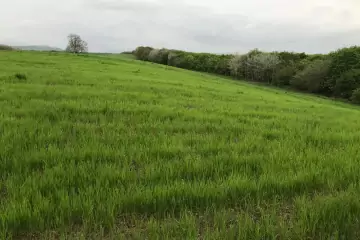 Satılır Torpaq Quba Rayonunda