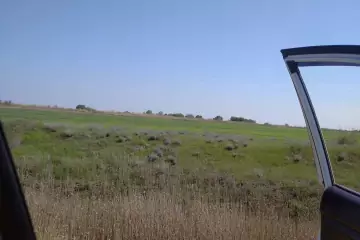 Satılır Torpaq Bayılda