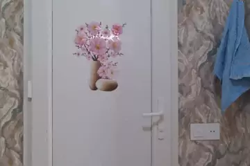 Aylıq Kirayə Həyət Evi Binədə