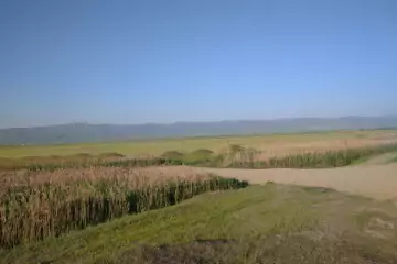 Satılır Torpaq Bayılda