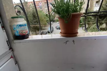 Satılır Köhnə Tikili Biləcəridə