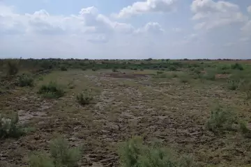 Satılır Torpaq Bayılda