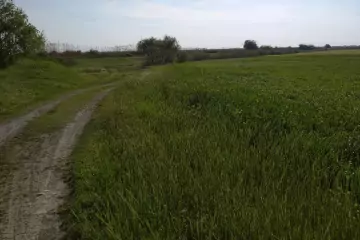 Satılır Torpaq Bayılda