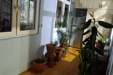 Satılır Həyət Evi Biləcəridə