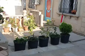 Satılır Həyət Evi Binəqədidə