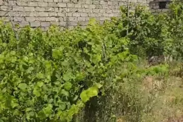 Satılır Torpaq Maştağada