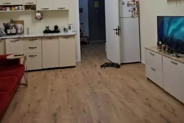 Satılır Yeni Tikili Gənclikdə