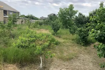 Satılır Torpaq Qusar Rayonunda
