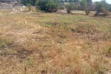 Satılır Torpaq Türkənda 