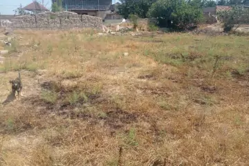 Satılır Torpaq Türkənda