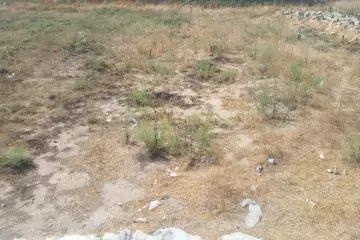 Satılır Torpaq Türkənda