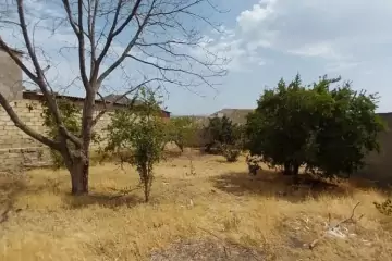 Satılır Torpaq Binəqədidə