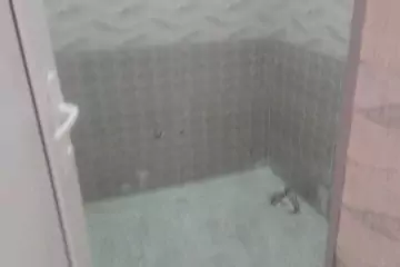 Satılır Həyət Evi Masazırda