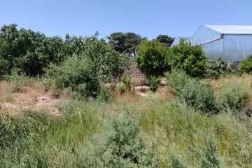 Satılır Torpaq Maştağada