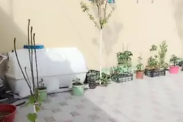 Satılır Həyət Evi Masazırda
