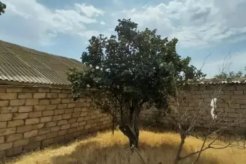 Satılır Torpaq Binəqədidə